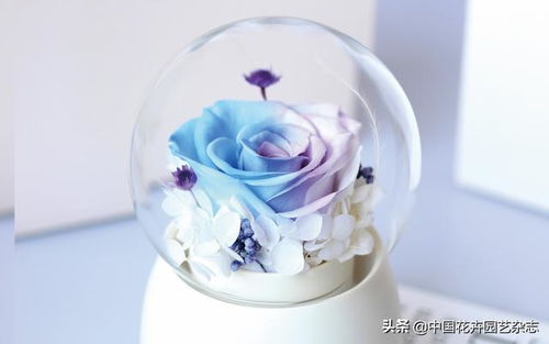 玩轉(zhuǎn)時尚元素 比拼精巧創(chuàng)意——禮品花卉銷售新趨勢